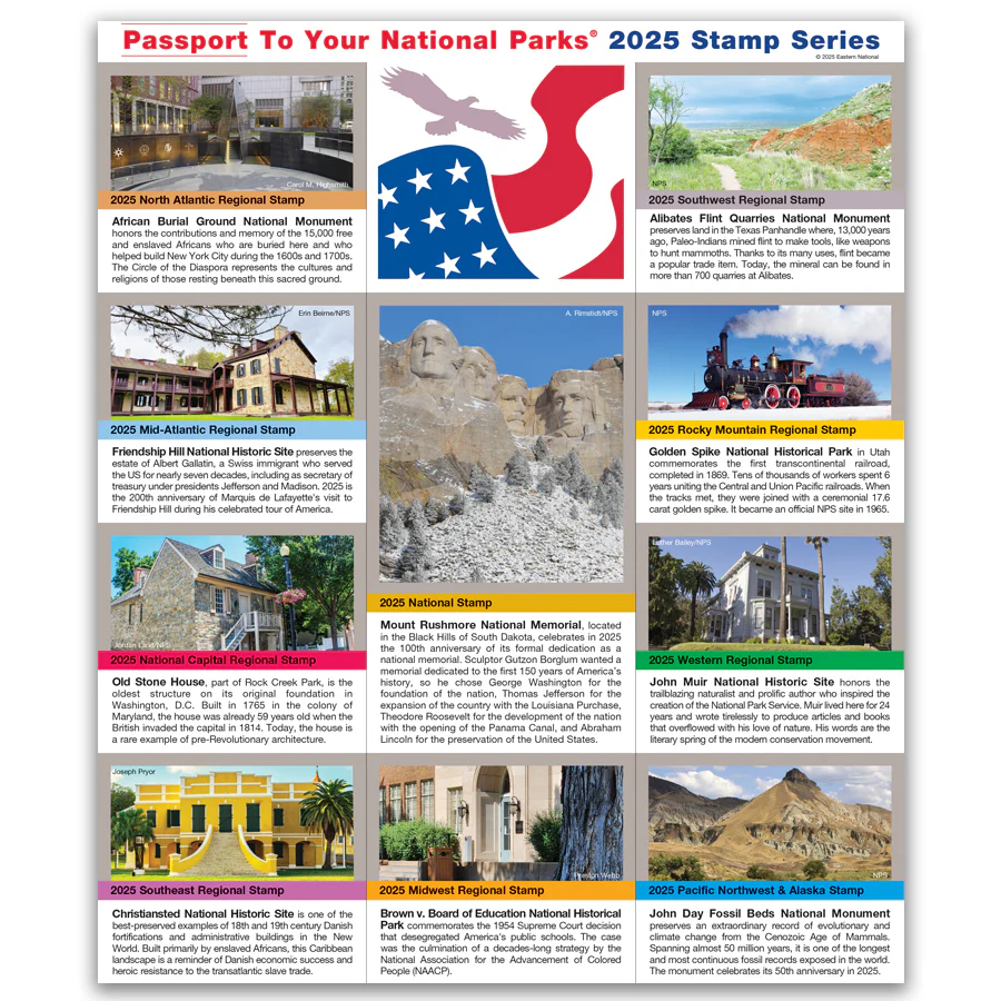 2025 Passport Stamp Set