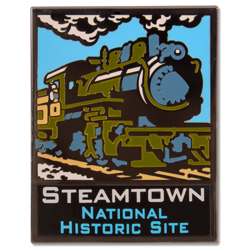 ANP Steamtown Pin