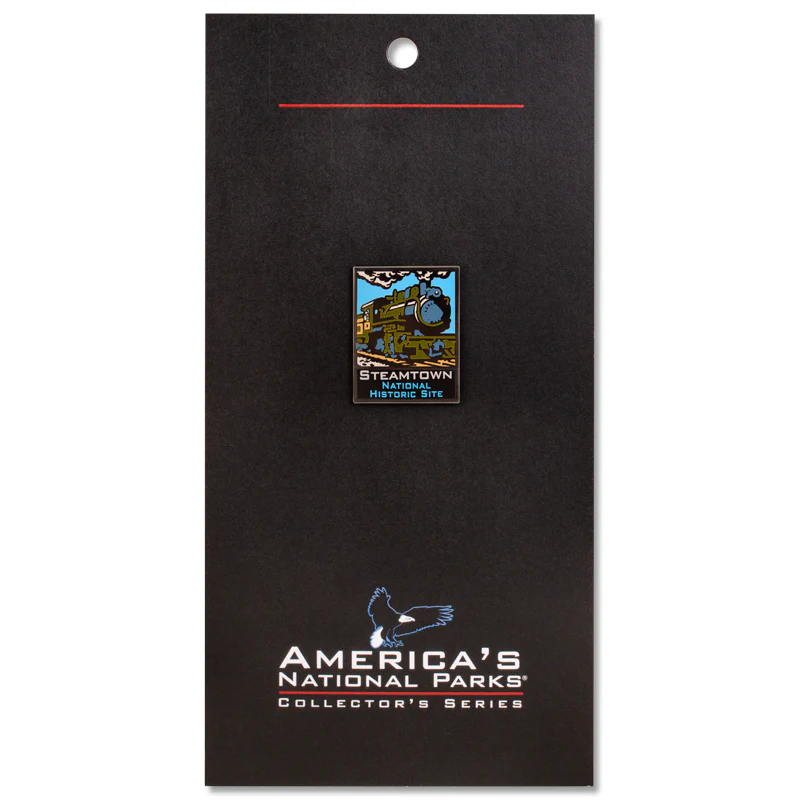 ANP Steamtown Pin - Image 2