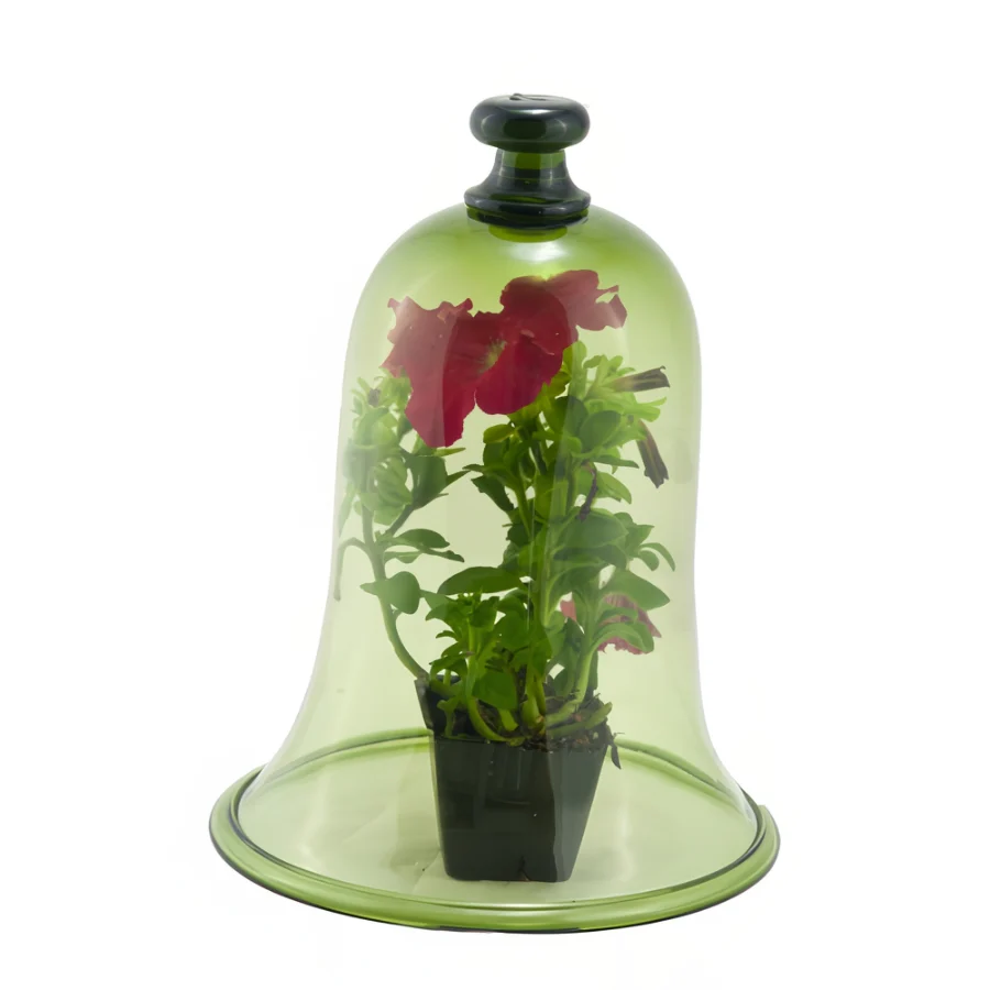 Green Garden Bell Jar - Image 2