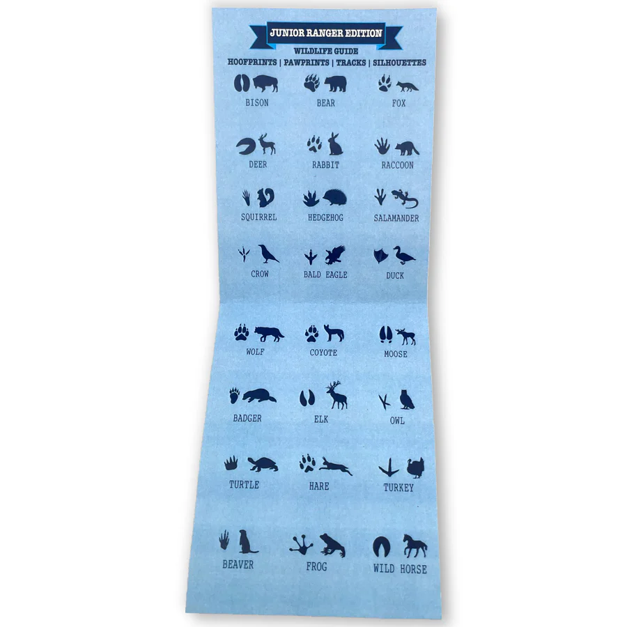 Junior Ranger Bracelet – Binoculars - Image 4