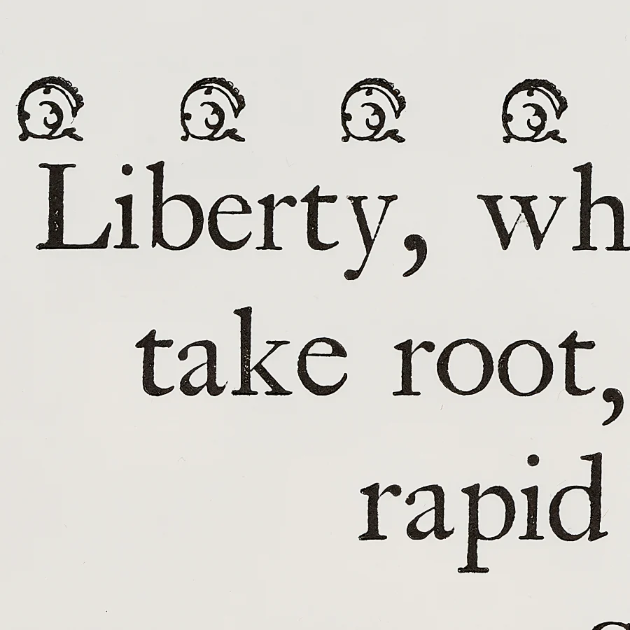 Liberty Take Root Print - Image 2