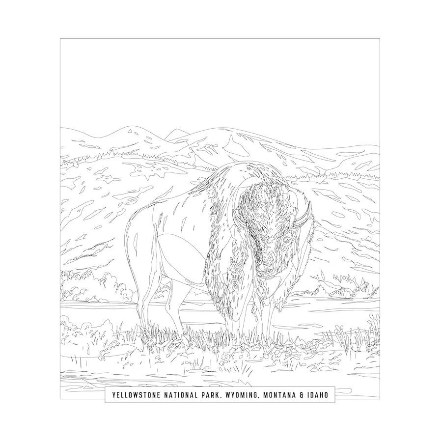 National Parks Activities Kit - Image 4