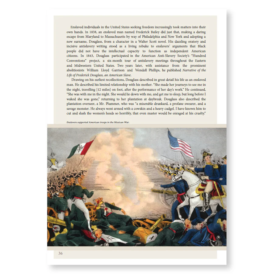 Slavery in the United States: A Brief Narrative History - Image 3