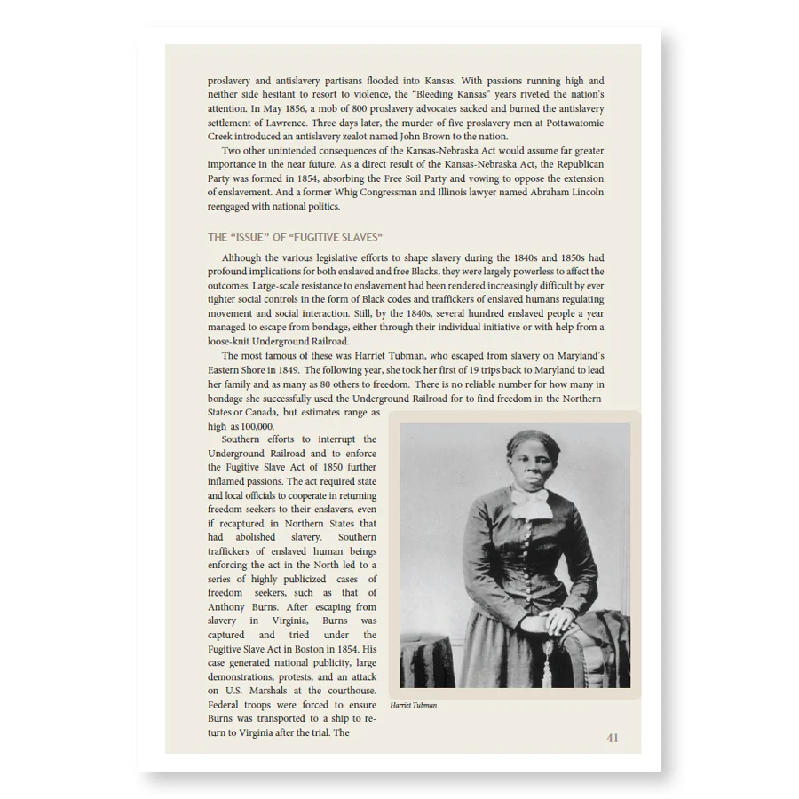 Slavery in the United States: A Brief Narrative History - Image 4