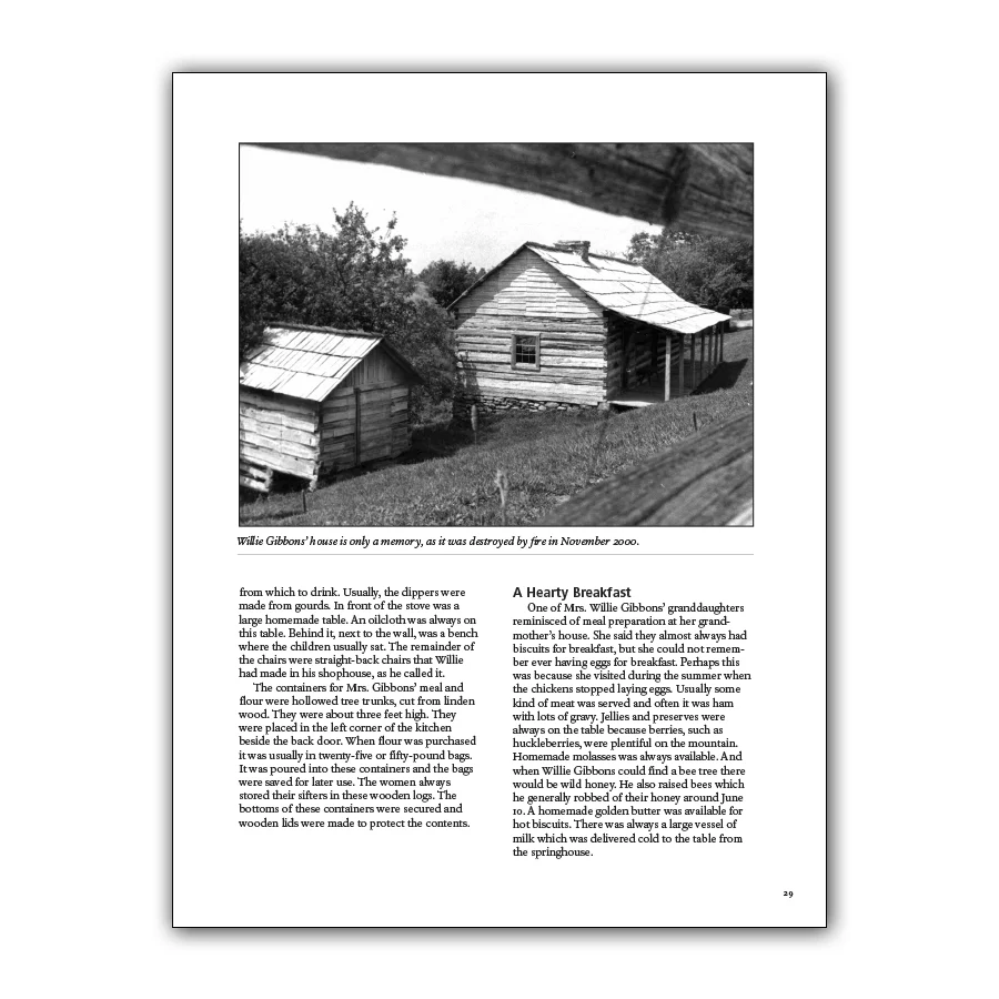 The Hensley Settlement - Image 4