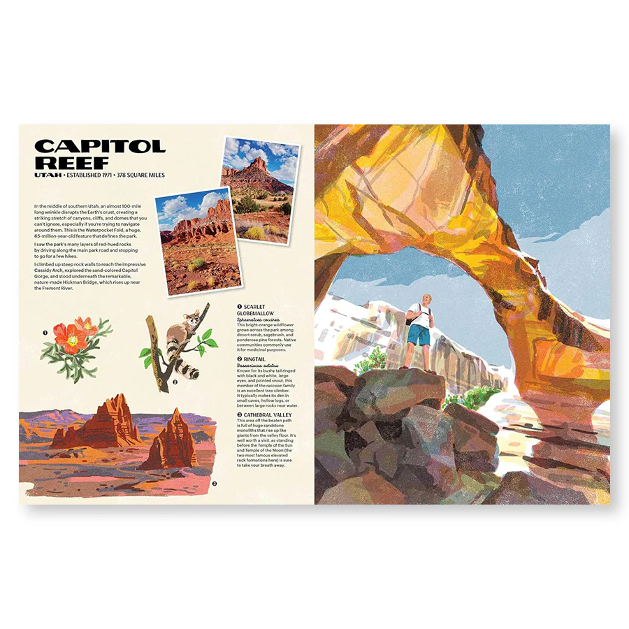 The Nature of our National Parks - Image 6