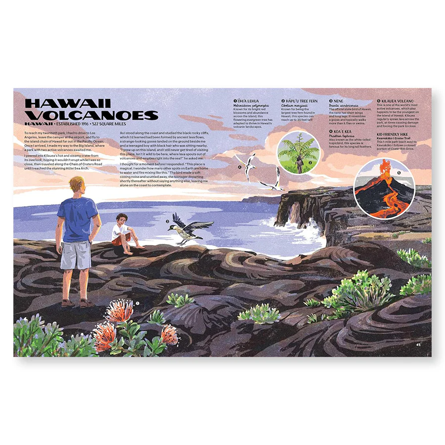 The Nature of our National Parks - Image 7