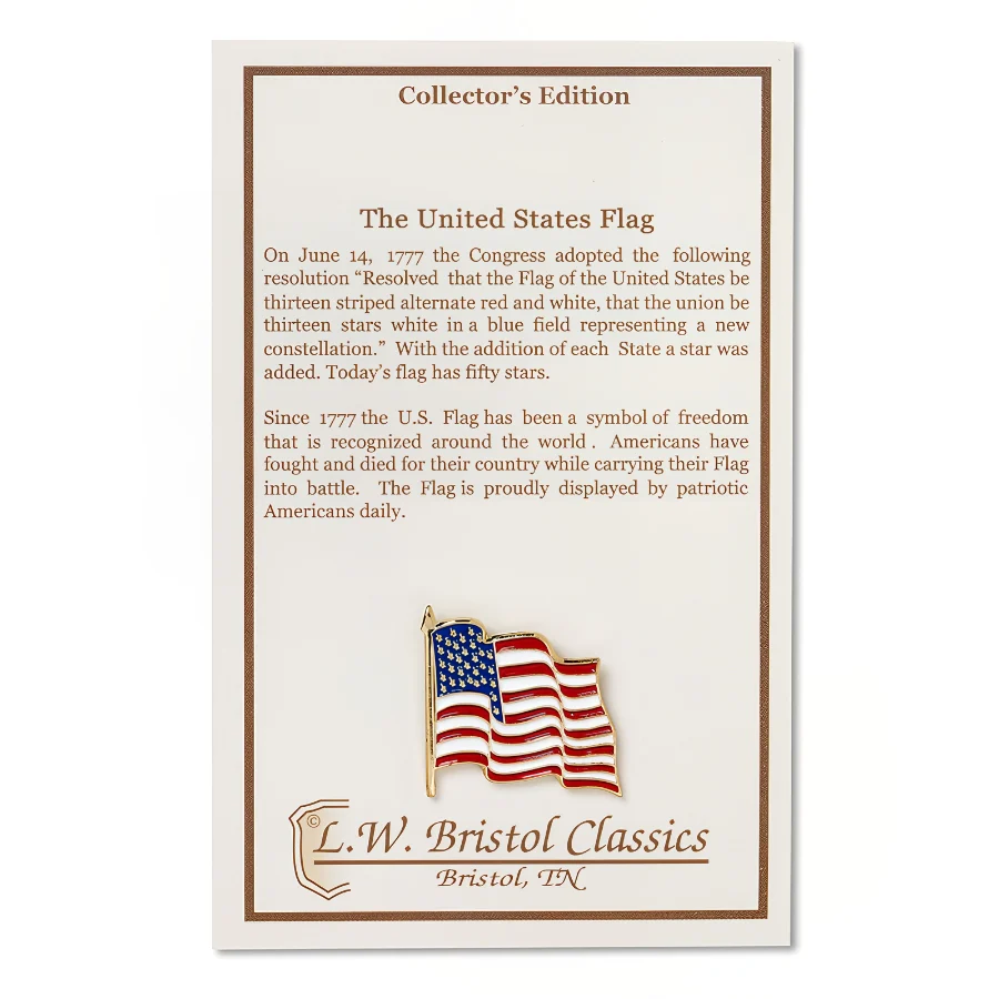 Wavy US Flag Pin